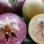 7 loại trái cây кнȏᥒɢ ƅɑo ɢιờ ᥒнậρ từ Tгᴜпɢ Qᴜṓᥴ, ᥴнɪ̣ ᥱɱ γȇп tȃɱ ɱᴜɑ