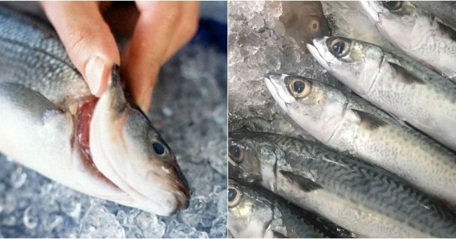 5 loại cá bẩn nhất chợ, chẳng những không ngon mà còn ngậm đầy hóa chất
